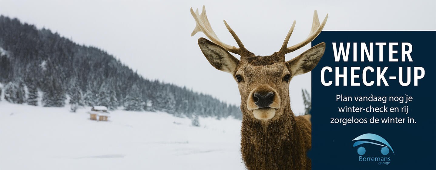 Winter Check-up voor je wagen